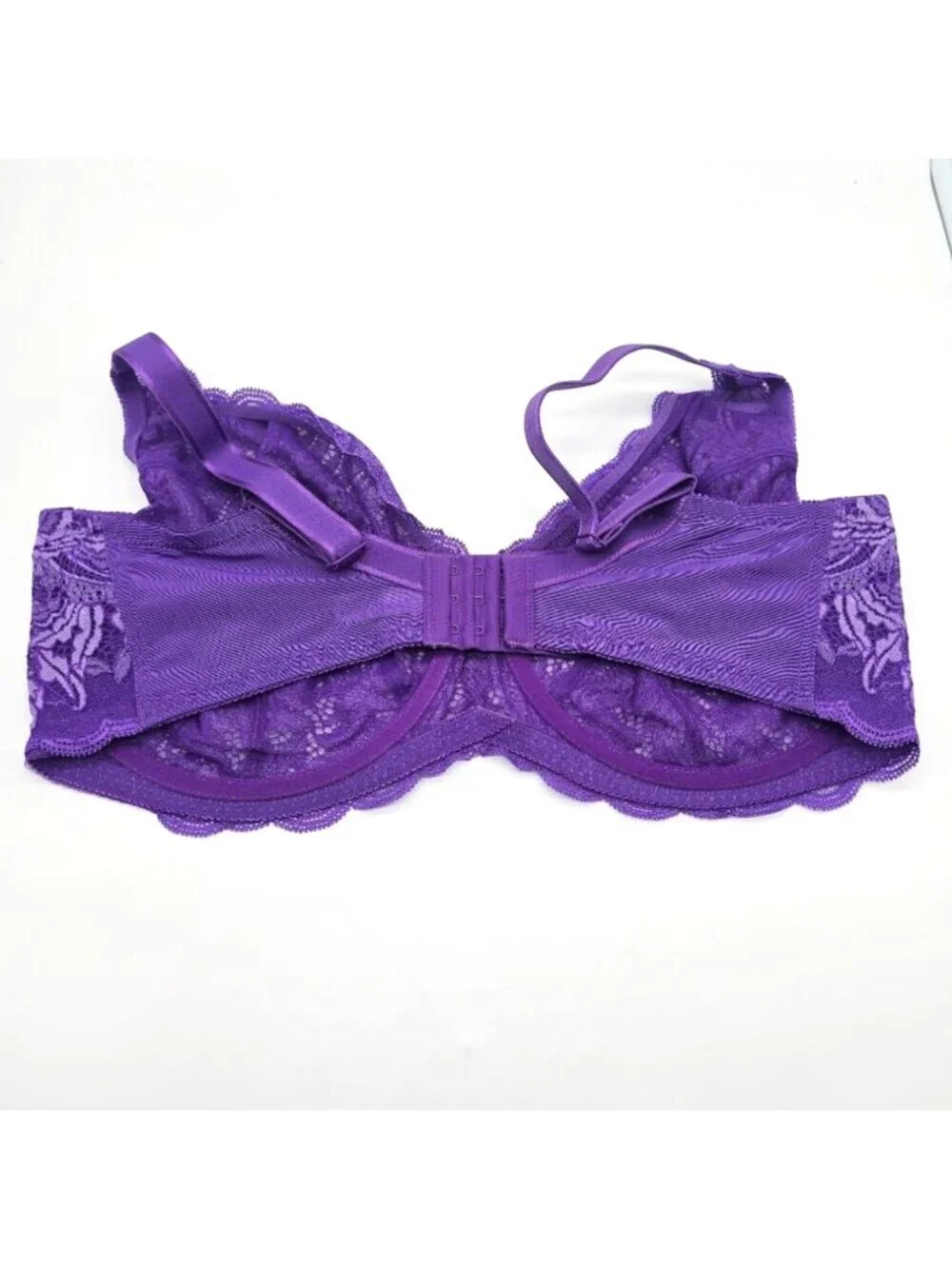 Felina paramour by